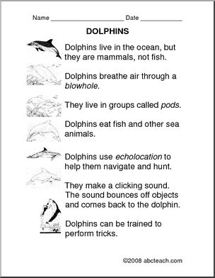 Comprehension: Dolphins (primary/elem)