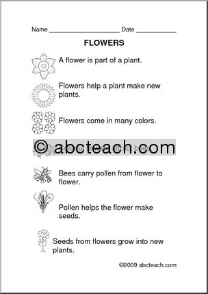 Comprehension: Plants – Flowers (primary)