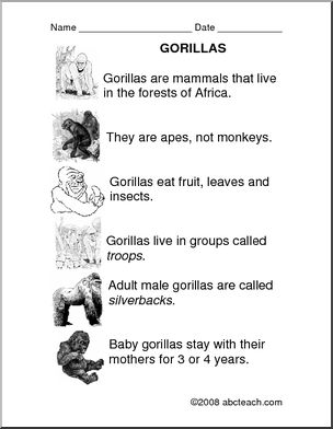 Comprehension: Gorillas (primary/elem)