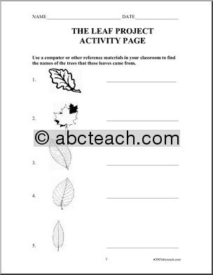 Fiction: The Leaf Project (elementary) | Abcteach