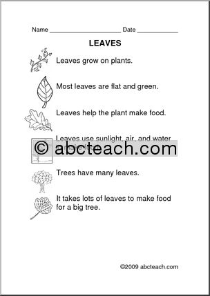 Comprehension: Plants – Leaves (primary)