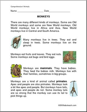 Comprehension: Monkeys (elem)