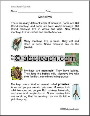 Comprehension: Monkeys (elem)