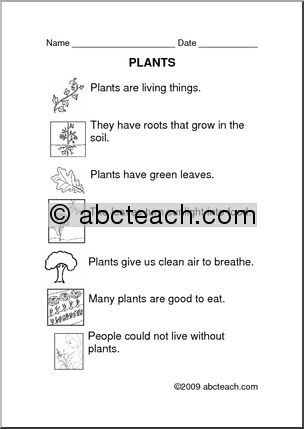 Comprehension: Plants (primary)