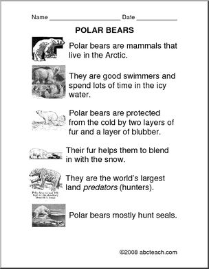 Comprehension: Polar Bears (primary)