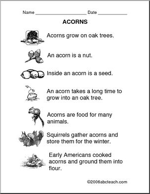 Comprehension: Acorns (primary)