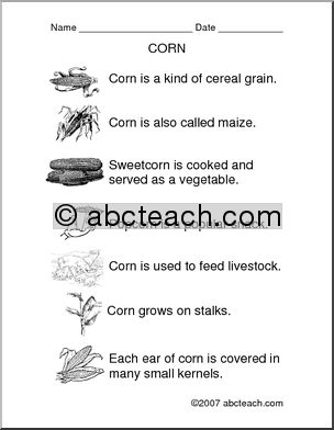 Comprehension: Corn (primary)