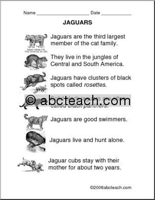 Comprehension: Jaguars (primary)