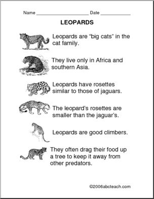 Comprehension: Leopards (primary)