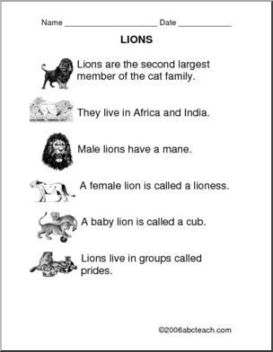Comprehension: Lions (primary)