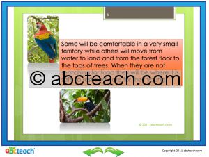 Interactive: Notebook: Reading Comprehension: Rainforest Biomes