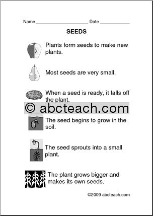 Comprehension: Plants – Seeds (primary)