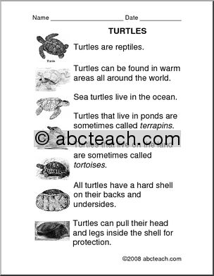 Comprehension: Turtles (primary/elem)