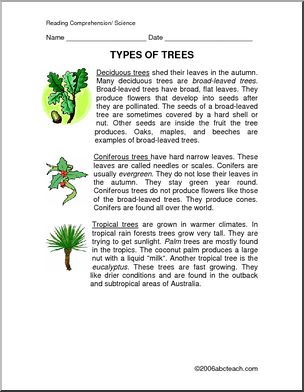 Comprehension: Types of Trees (elem/ upper elem)