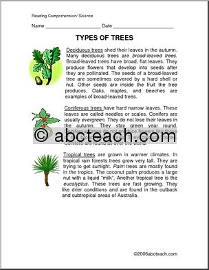 Comprehension: Types of Trees (elem/ upper elem)