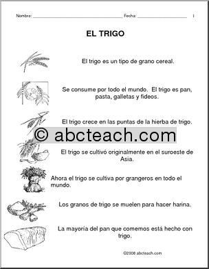 Spanish: ComprensiÃ›n de lectura – El trigo (elementaria/secundaria)