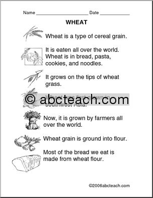 Comprehension: Wheat (primary)