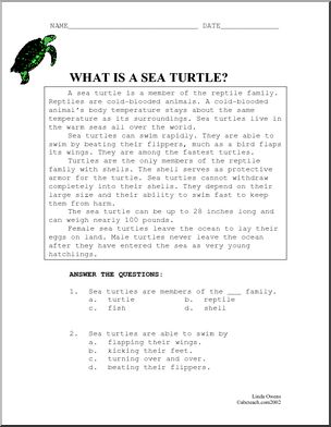 Comprehension: Sea Turtle (upper elem)