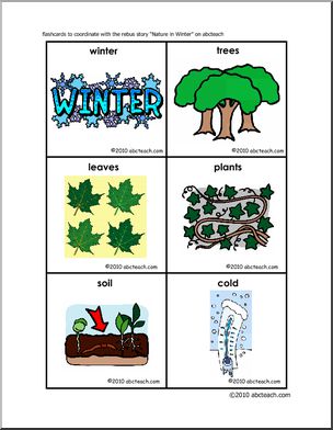 Rebus: Nature in Winter Flashcards (color)