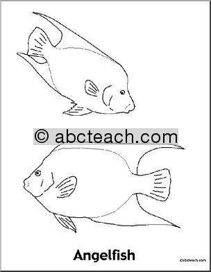 Coloring Page: Reef Animals