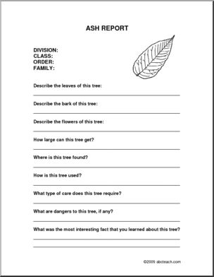 Report Form: Tree – Ash