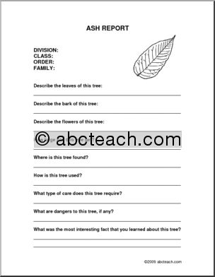 Report Form: Tree – Ash