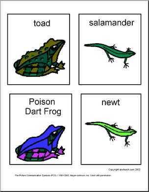 Flashcards: Reptiles And Amphibian | Abcteach