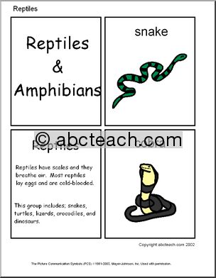 Flashcards: Reptiles and Amphibian