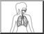 Clip Art: Human Anatomy: Respiratory System (coloring page)