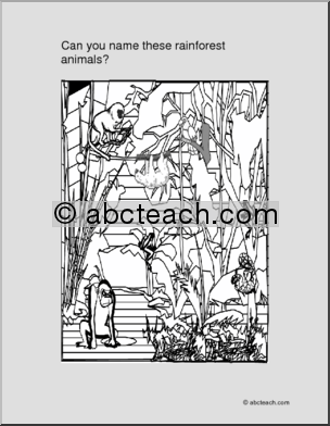 Coloring Page: Rain Forest Animals