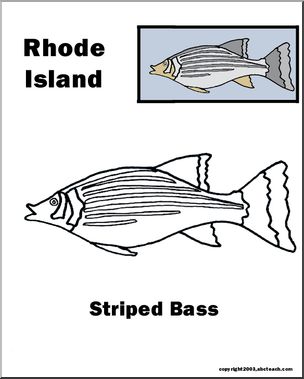 Rhode Island: State Animal  – Striped Bass