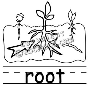 Clip Art: Basic Words: Root B&W (poster)