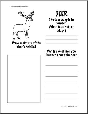 Science: Deer Information Page (Grade 1)