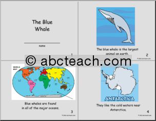 Early Reader: Science; The Blue Whale (color) (primary)