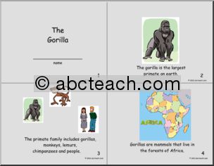 Early Reader: Science; Gorillas (primary) (color)