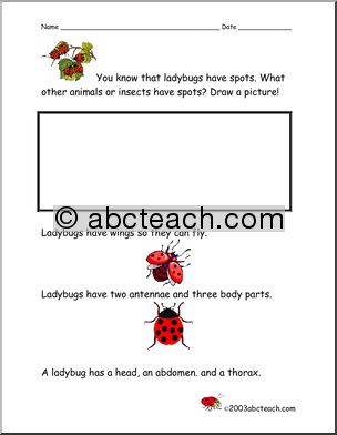 Comprehension: Ladybugs (primary)