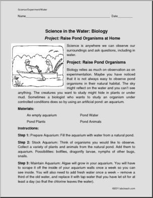 Where We Find Science-In Water-Pond Organisms (elem/upper elem) Experiment