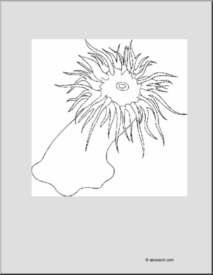 Coloring Page: Sea Cucumber