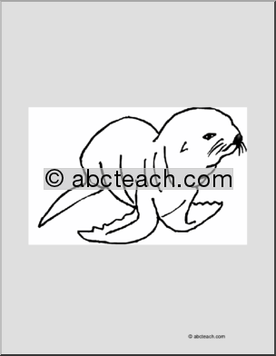 Coloring Page: Seal