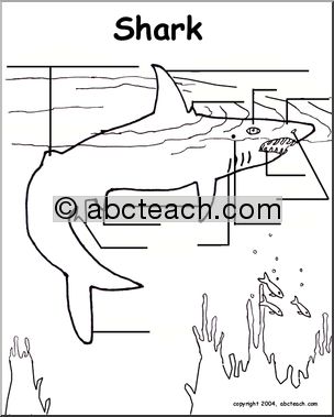 Animal Diagrams:  Shark (unlabeled parts)