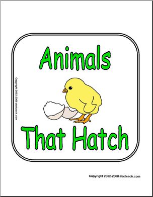 Theme Sign: Animals That Hatch