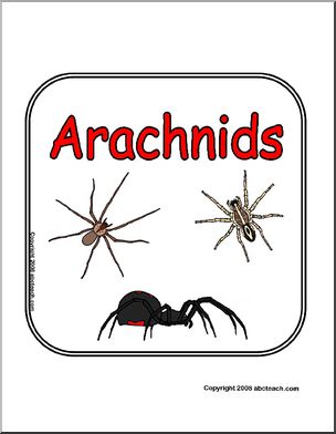 Sign: Animals – Arachnids