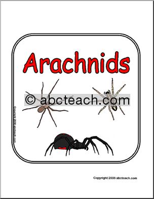 Sign: Animals – Arachnids