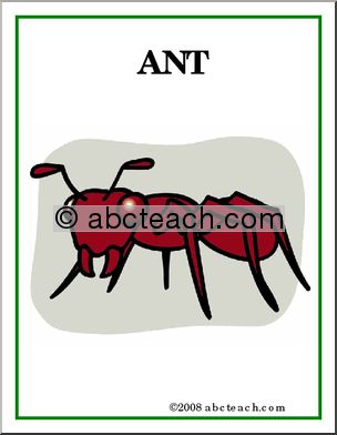 Poster: Insects – Ant