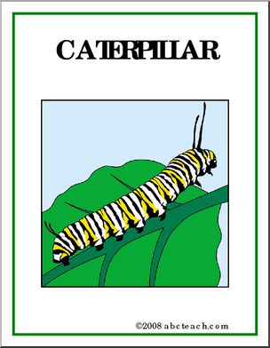 Poster: Insects – Caterpillar