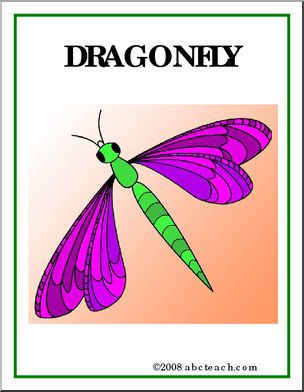 Poster: Insects – Dragonfly