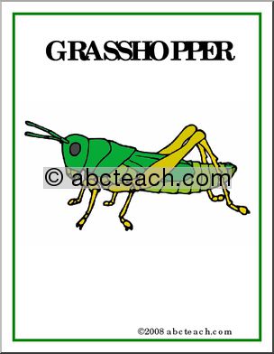 Poster: Insects – Grasshopper