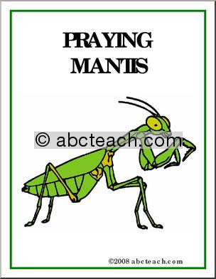 Poster: Insects – Praying Mantis
