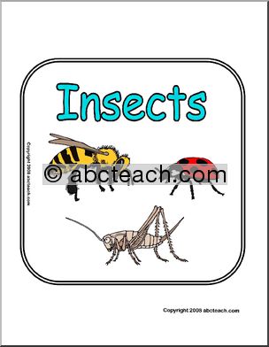 Sign: Animals – Insects