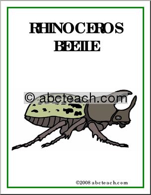Poster: Insects – Rhinoceros Beetle